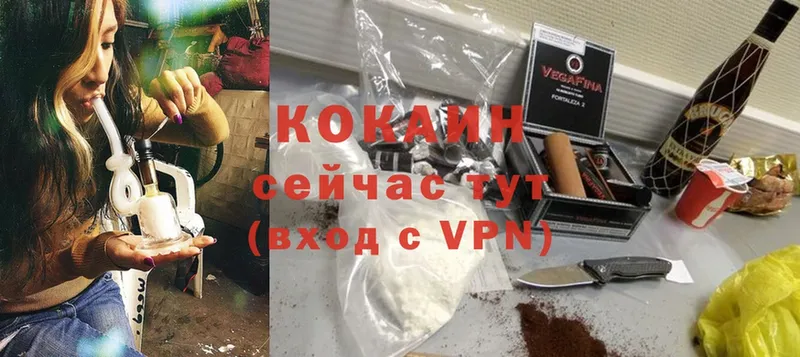 Cocaine FishScale  дарк нет как зайти  Жуковский  где продают наркотики 